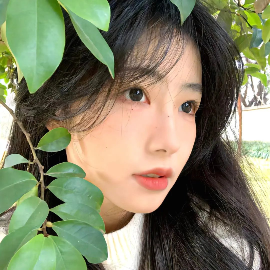 荒原狼